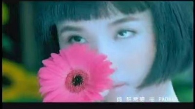 苏慧伦 - 傻瓜