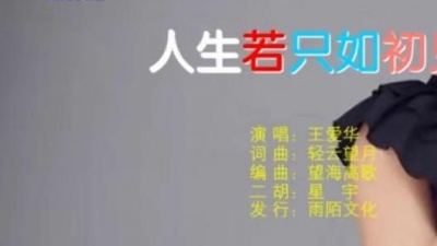 王爱华 - 人生若只如初见
