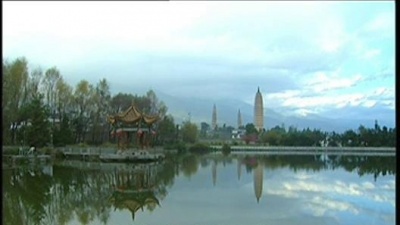 迟志强 - 吃葡萄不吐葡萄皮