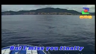 Trademark - miss you finally