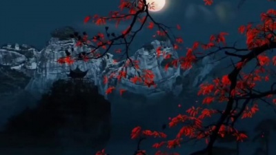 爱追星的小助理 - 孙露一首《情难枕》
