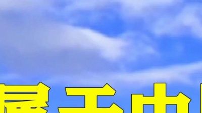 金山二姐 - 我属于中国 难忘的老歌