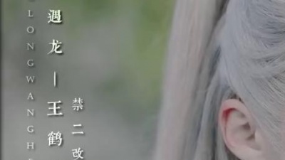 小萌猪 - 艾辰《上邪》你嫁衣如火灼伤了天涯，烙我心上如朱砂！