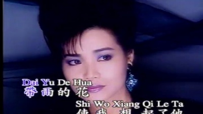 龙飘飘 - 泪的小花