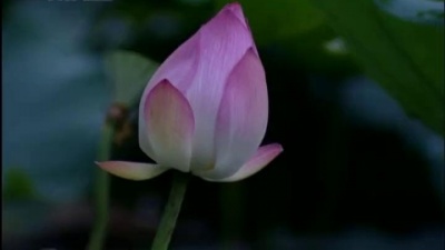 董文华 - 妈妈留给我一首歌