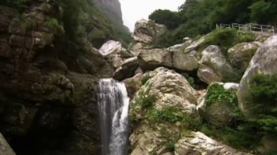 龙族花香 - 陈悦、马克《苦雪烹茶》