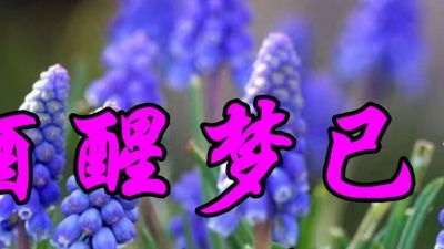 吾爱音乐 - 怀旧金曲，林淑蓉一首《酒醒梦已残》好听至极