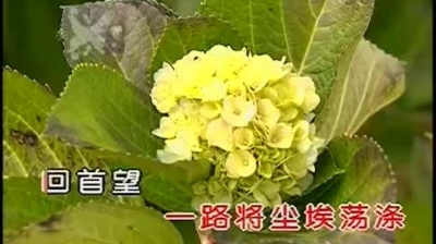 张迈 - 庄严我神州大地