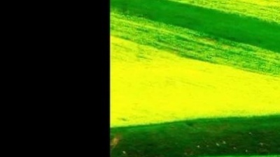 头条王 - 纯音乐《Earth melody》大地的旋律
