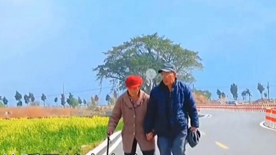 迷路的老路痴 - 二泉映月