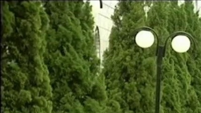 董文华 - 千古情