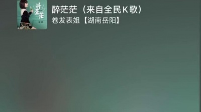 凤冠霞帔 - 闽南语《醉茫茫》