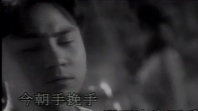 黄凯芹 - 雾中花