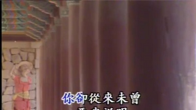 林慧萍 - 新恋情