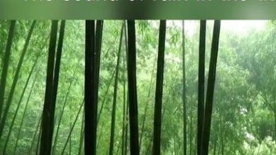 花花是fafa- - 【白噪音】竹林茂密的雨声，在大自然的声音中入睡~ #白噪音 #助眠 #失眠 #缓解焦虑 #聆听大自然的旋律