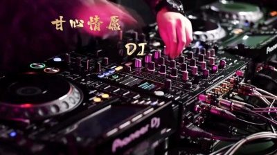 泽宇 - 甘心情愿 DJ版