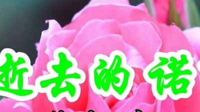 音乐电台 - 童丽一首经典情歌《逝去的诺言》好听极了