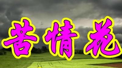 爱听歌的菲 - 龙飘飘一首经典老歌《苦情花》带来满满的回忆