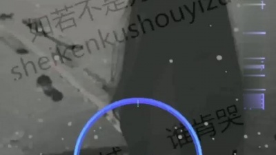 苏谭谭 - 爱太难