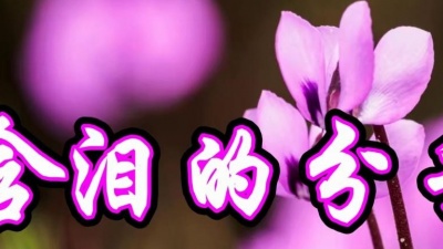袖珍妈妈逗乐 - 张小英一首经典老歌《含泪的分手》伤感极了