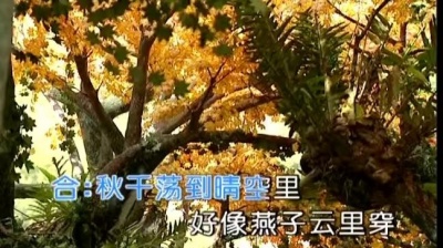 董文华 - 婚誓