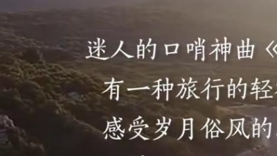 黄西炮 - 特别适合开车的时候听的曲子，抽个时间跟心爱的人来一趟旅行吧#caravan #纯音乐 #我在听纯音乐