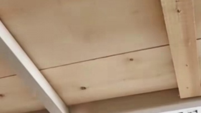 就是红呀 - #花手摇