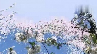 André Rieu(安德烈·瑞欧) - Ballade Pour Adeline