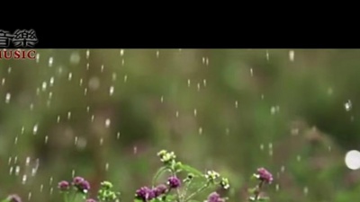 西子、戴千秋 - 茶马情歌