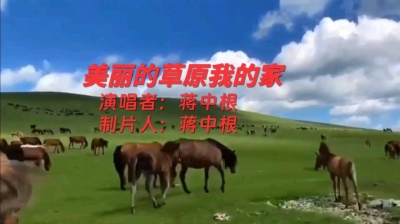蒋中根 - 美丽的草原我的家