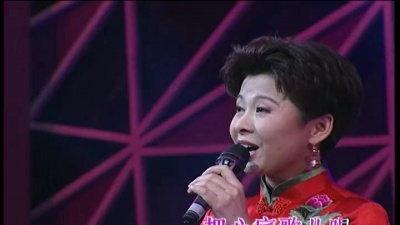 董文华 - 五月的风