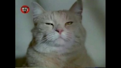 Mariangela - Ninna Nanna
