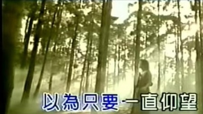 钟汶 - 因为爱所以恨