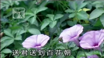 周璇 - 送君