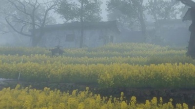 娱婆 - 治愈系轻音乐《七秀坊》，放松身心，感受游戏世界里的雨天意境～