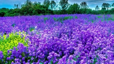 桃奈原 - Kenny Rogers - I'm Missing You Lyrics