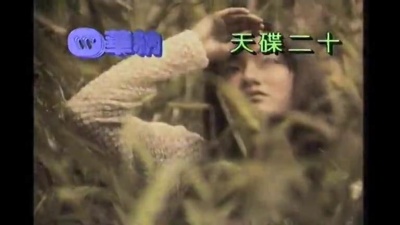 王馨平 - 感情的片段