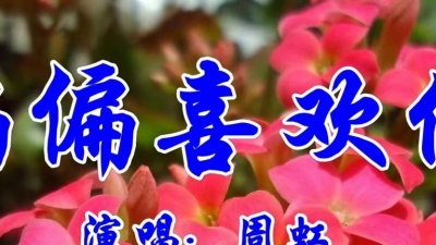 音乐分享人 - 周虹一首经典情歌《偏偏喜欢你》好听极了