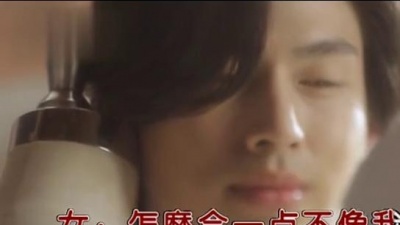 张柏芝、黄维德 - 爱上你了 (KTV版)