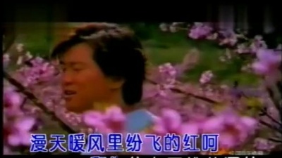 满文军 - 桃花深处 (KTV版)