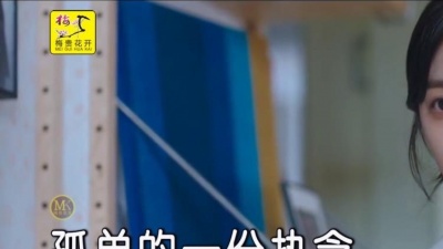 梅贵花开 - 姜玉阳 - 无情的蝶 MV