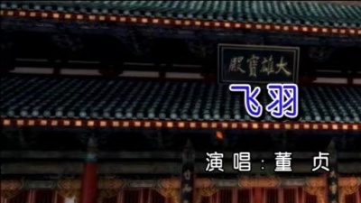 董贞 - 飞羽 (KTV版)