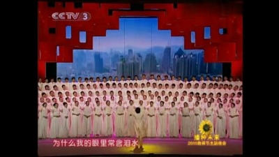 梅花傲雪 - 歌曲：致祖国