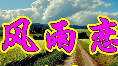 小梁弟爱唱歌 - 林淑容一首经典情歌《风雨恋》好听极了