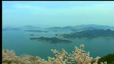 董文华 - 萤火虫