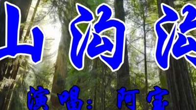 所谓伊伊 - 阿宝一首经典歌曲《山沟沟》好听极了
