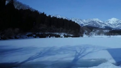 509001221 - Bandari《Snow (纯音乐版)》