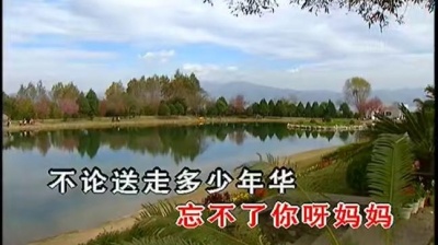 程琳 - 忘不了你呀妈妈
