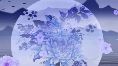 张晓棠 - 苏幕遮