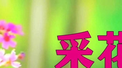 文森特别6 - 采花   难忘的老歌